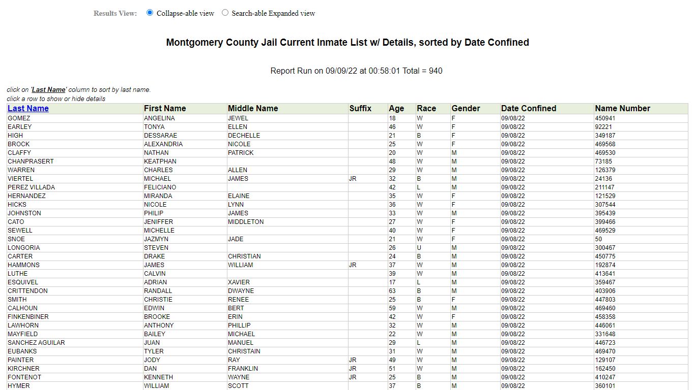 Jail Roster